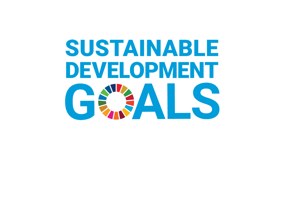 Logo Sustainable Development Goals