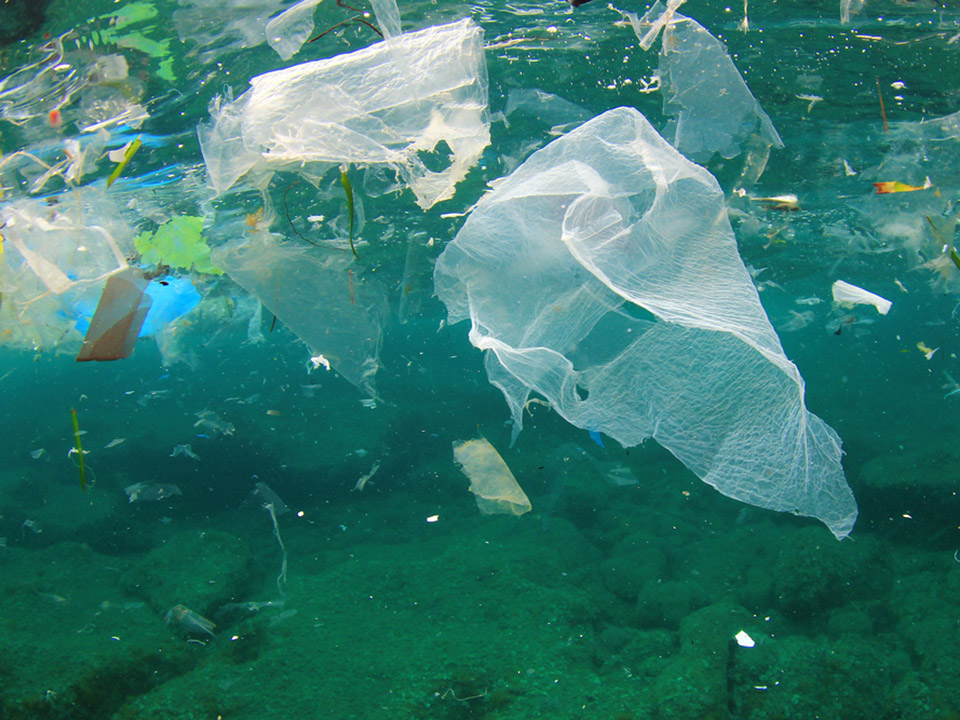 Plastikmüll im Wasser